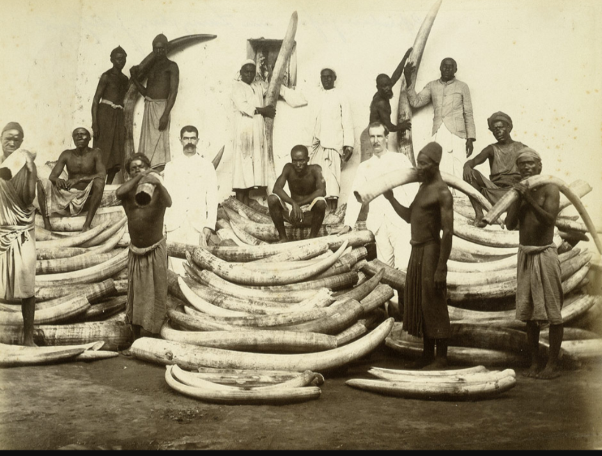 L'histoire des bracelets en ivoire et leur disparition !