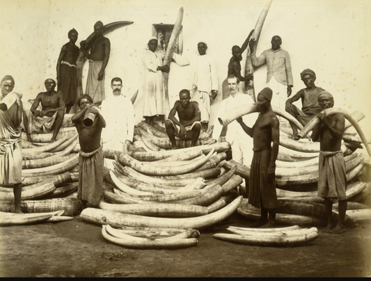 L'histoire des bracelets en ivoire et leur disparition !